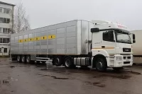Полуприцеп для перевозки животных BERDEX ECOLINE OV1227 (с отоплением) с фиксированными этажами (3 этажа) 