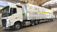 Полуприцеп для перевозки животных BERDEX ECOLINE OV1227 (с отоплением) с фиксированными этажами (3 этажа) 