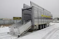 Полуприцеп для перевозки животных BERDEX ECOLINE OV1227 (с отоплением) с фиксированными этажами (3 этажа) 
